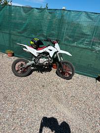 Pit bike