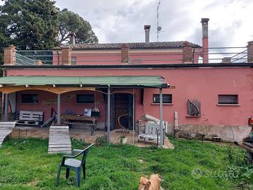 MONTECICCARDO CASA SINGOLA AMPIA METRATURA GIARDIN