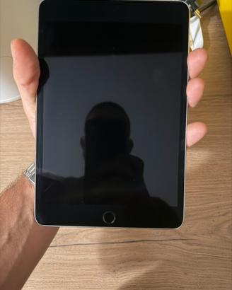 Ipad  mini 4