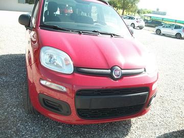 Fiat Panda 1.2 Easy CC 1242 BENZINA DEL 2014 KM 14