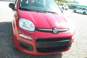 Fiat Panda 1.2 Easy CC 1242 BENZINA DEL 2014 KM 14