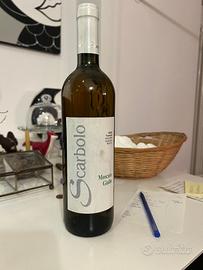 Moscato giallo - Scarbolo