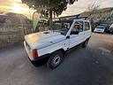 fiat-panda-1100-i-e-cat-young