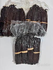 VANIGLIA BOURBON DEL MADAGASCAR