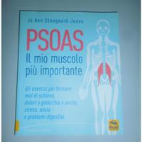 Nervo VAGO + Muscolo PSOAS
