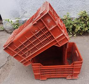 Casse in plastica per uva e frutta