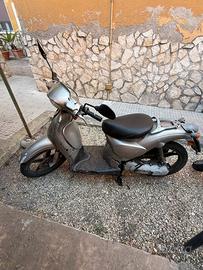 Scarabeo