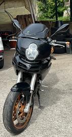 ducati multistrada ds 1000