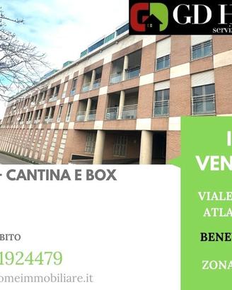 Viale degli Atlantici