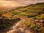 Immagine 8