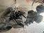 Immagine 3