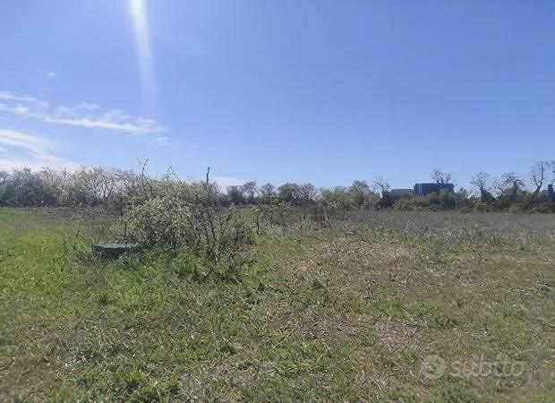 Immobile in asta di 9980 m² a Spresiano - Vista 4