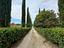 Immagine 22