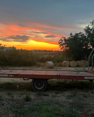 Rimorchio agricolo pianale bicchi