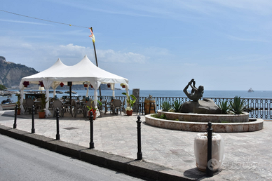 Attività commerciale