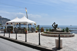 Attività commerciale