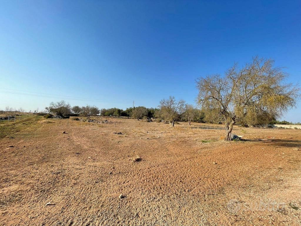 Terreno di 10042 m² a Carpignano Salentino - Vista 4