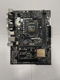 ASUS H110M-C Nuova con Scatola