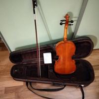 Violino