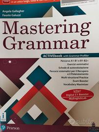 Mastering Grammar