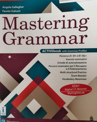 Mastering Grammar