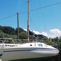 Barca a vela tucano