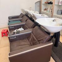 Lavatesta professionale