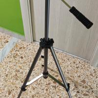 CAVALLETTO DAIWA T300