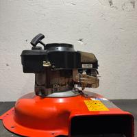 Motore Tagliaerba / Soffiafoglie Sigma