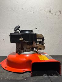 Motore Tagliaerba / Soffiafoglie Sigma