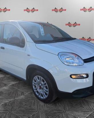 FIAT Panda 1.0 firefly hybrid 70cv 5 POSTI, S...