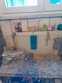 Teca per tartarughe 