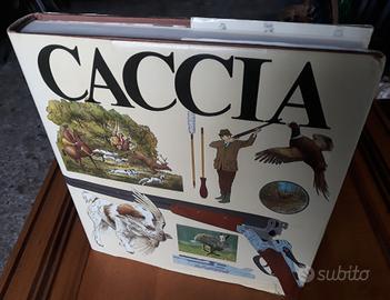 Caccia