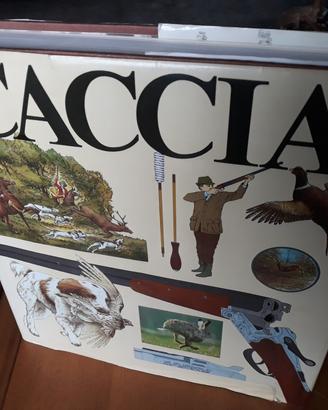 Caccia