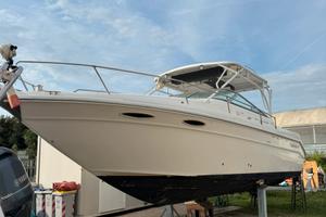 Barca Sea Ray 300 motori 2 Suzuki 250 nuovi