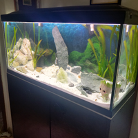 Ferplast Cayman 110cm 240 litri acquario completo