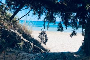 A pochi METRI dalla SPIAGGIA e dal MARE