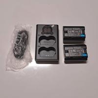 caricarapido e 2 batterie per Fujifilm