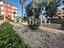 Immagine 29