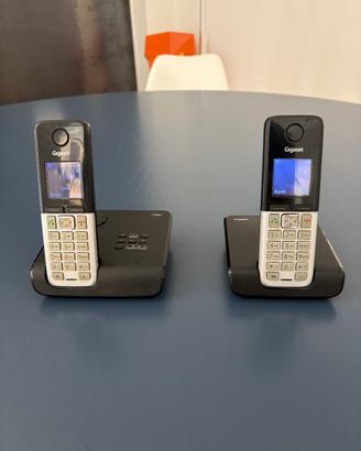 Coppia Cordless Gigaset C300 (Base con Segreteria)