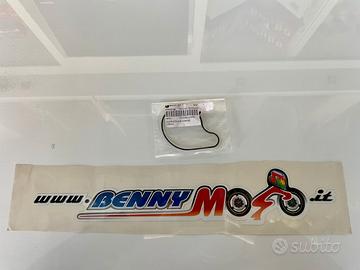 Guarnizione o-ring benelli bn 251