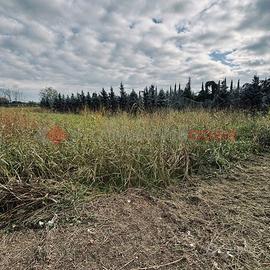 Terreno Agricolo Pistoia [Cod. rif 3274254VCG]