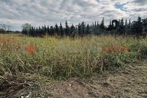 Terreno Agricolo Pistoia [Cod. rif 3274254VCG]
