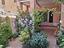 Immagine 20