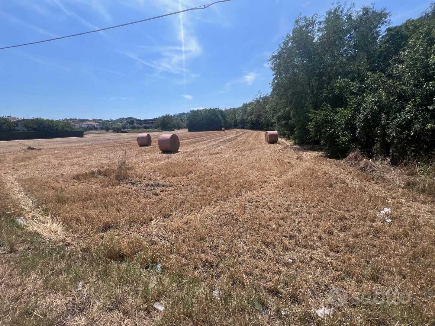 Terreni agricoli - Vista 2