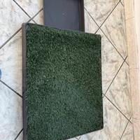 Toilette fudajo per cani