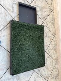 Toilette fudajo per cani