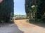 Immagine 11