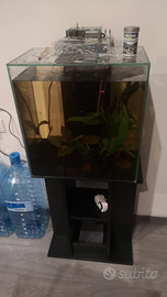 Askoll fluval edge 46 con mobile