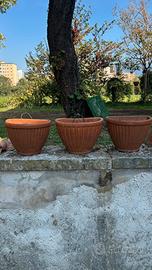 Vadi di terracotta per il giardino